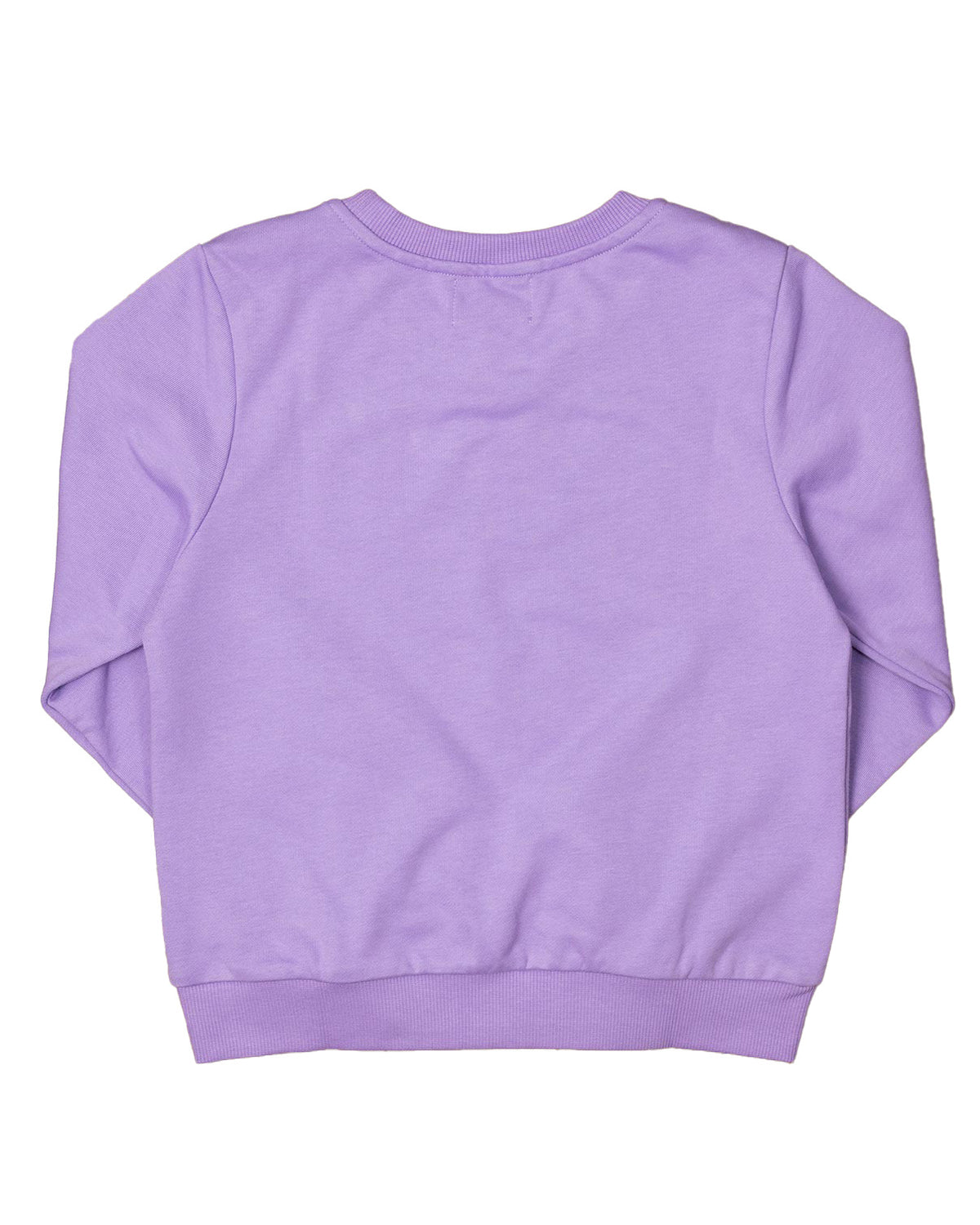 Crewneck Unisex Sweatshirt in Purple- FINAL SALE