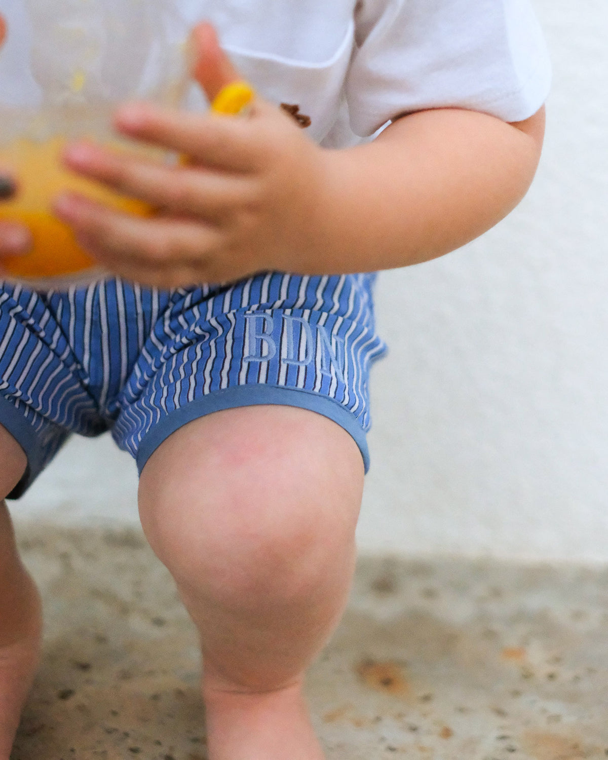 Blue Striped Tucker Shorts