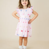 Park Fun Embroidered Penny Dress