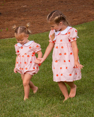 Pumpkin Embroidered Coral Gingham Dress