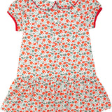 Holiday Floral Bow Dress