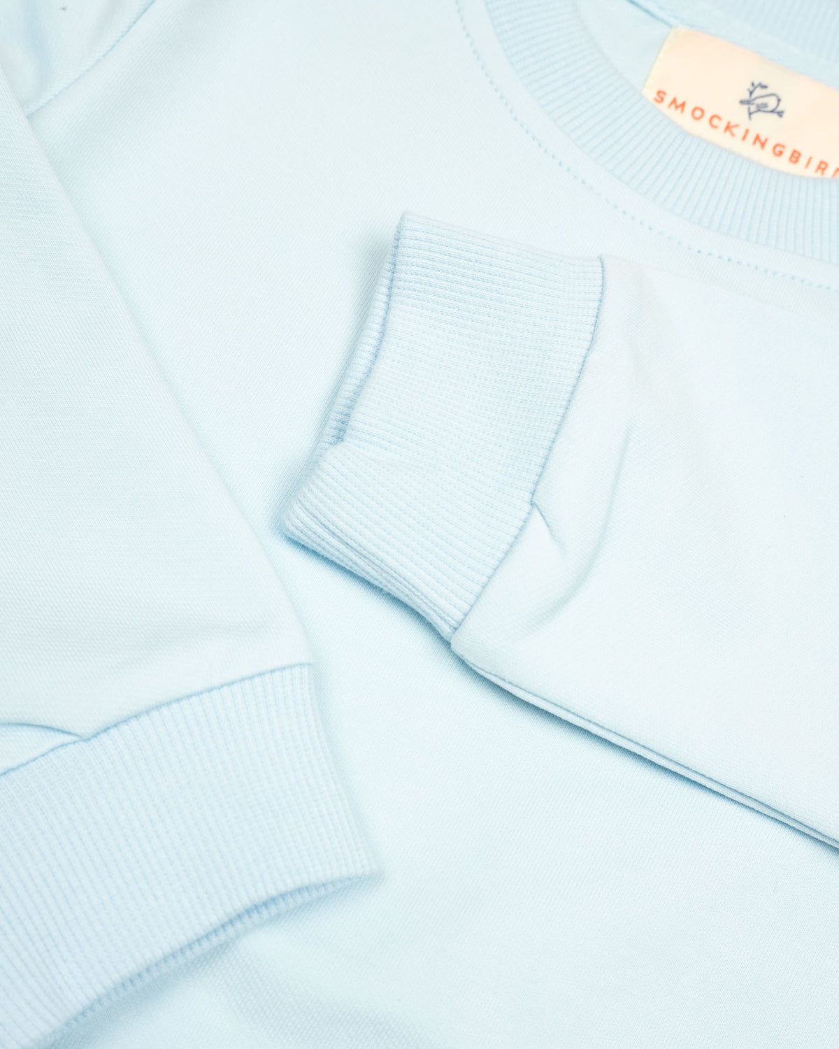 Crewneck Sweatshirt in Baby Blue