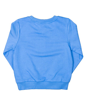 Crewneck Unisex Sweatshirt in Cloud Blue