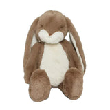 Little Nibble the Floppy Bunny