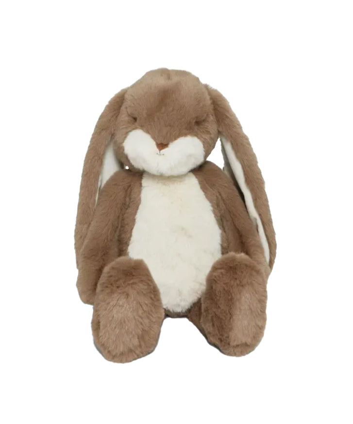 Little Nibble the Floppy Bunny